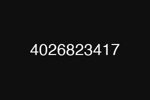4026823417